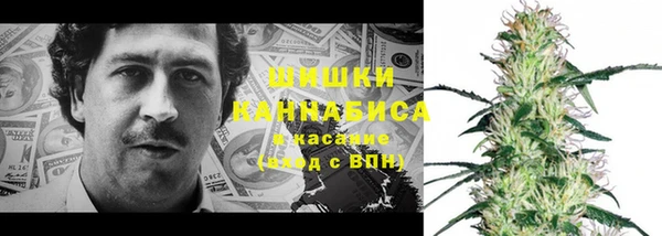 гидра Арсеньев