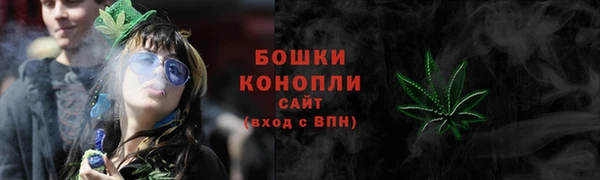 гидра Арсеньев