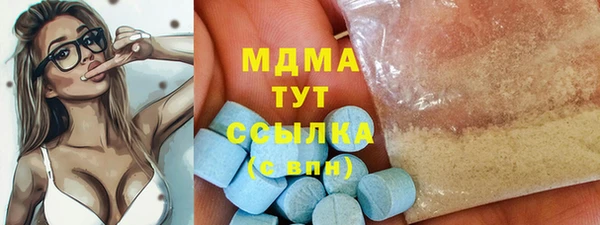 гидра Арсеньев