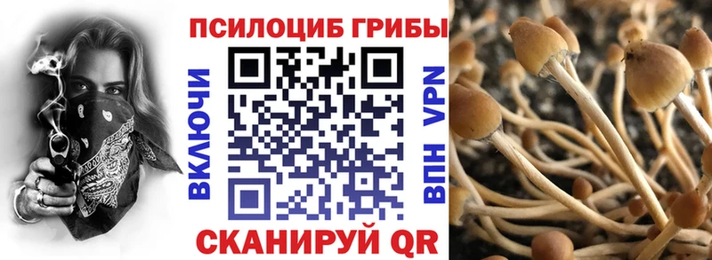 закладка  Минусинск  Псилоцибиновые грибы ЛСД 
